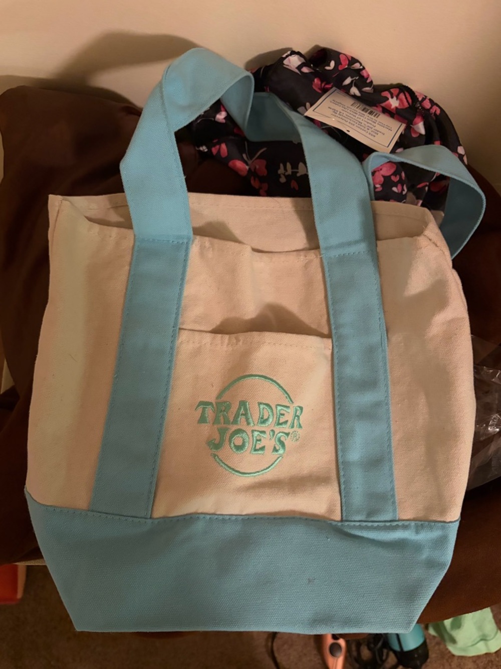 Trader Joe's Canvas Tote in Light Blue and Cream